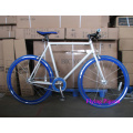 New Model Single Speed 700c Fixie Bicycles (FP-FGB1303)